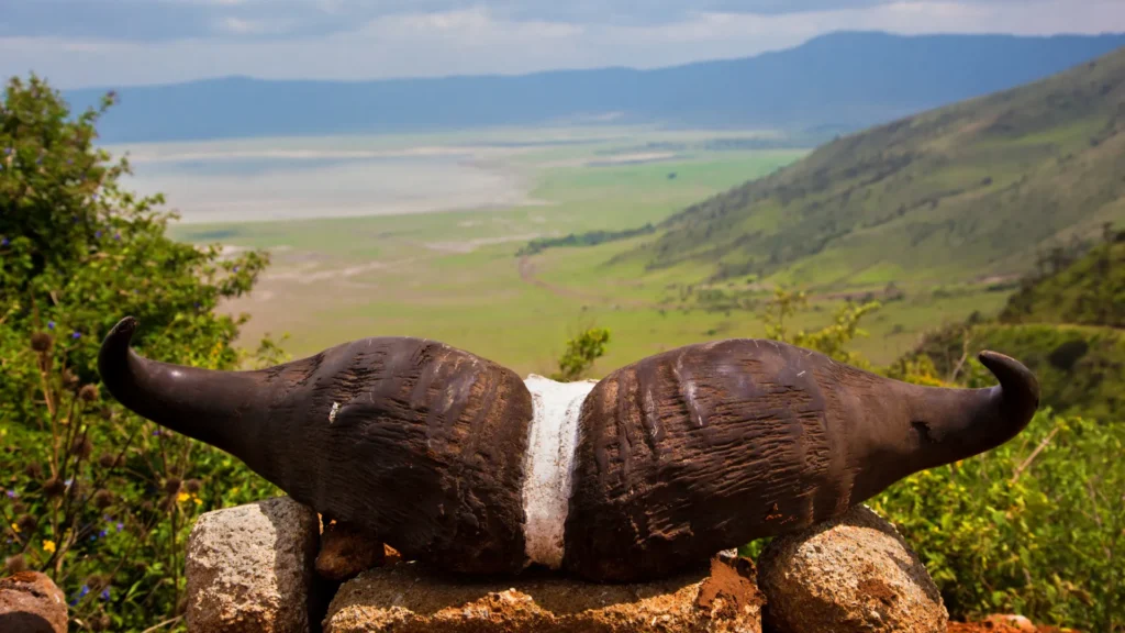 Ngorongoro Crater