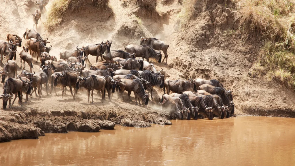 Serengeti National Park