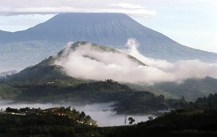 7-Day Rwanda Chimpanzee Trekking & Lake Kivu Experience