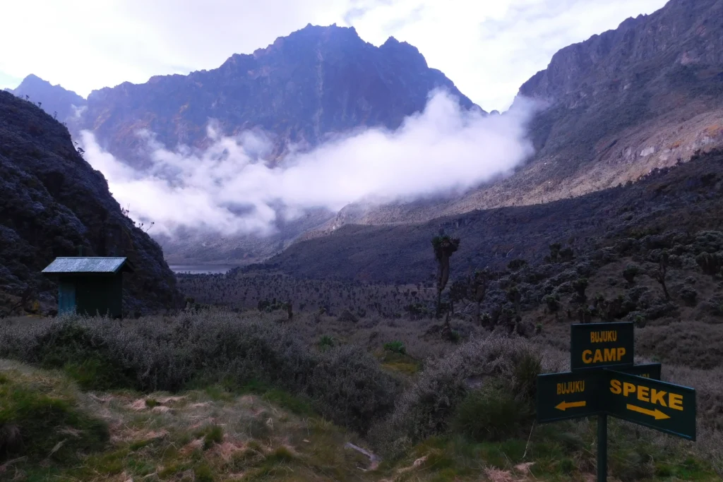Rwenzori Mountains