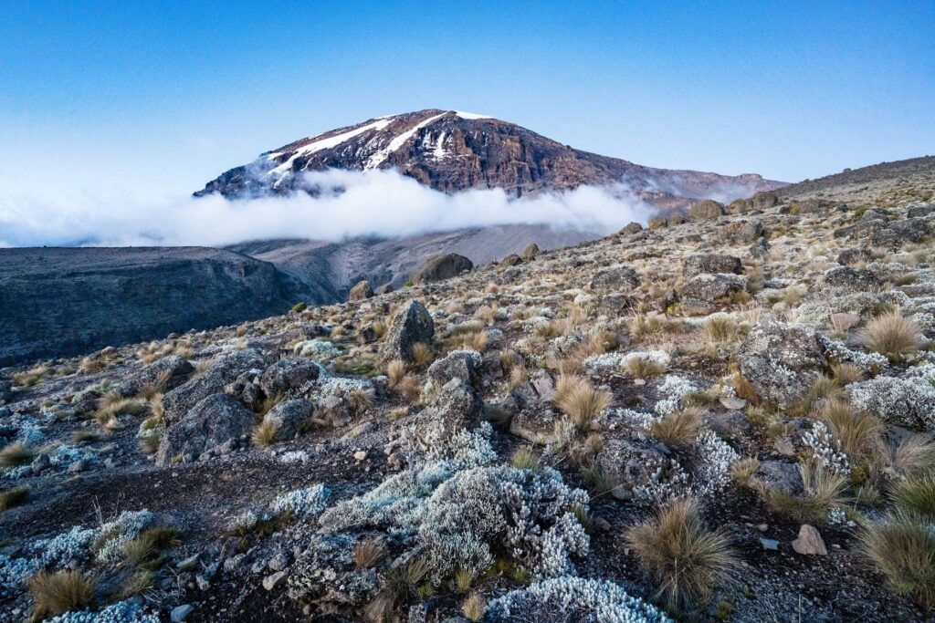 7 Days Machame Route Kilimanjaro Climb