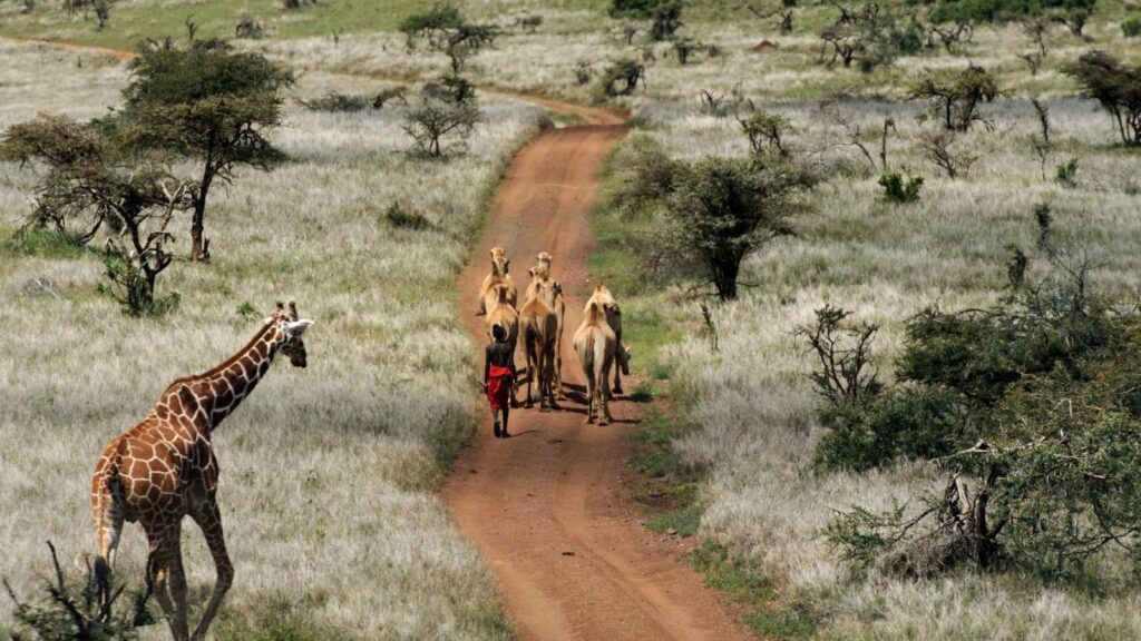 Laikipia County