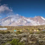 8 Days Lemosho Route Kilimanjaro Climb