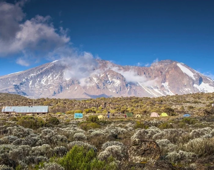 8 Days Lemosho Route Kilimanjaro Climb