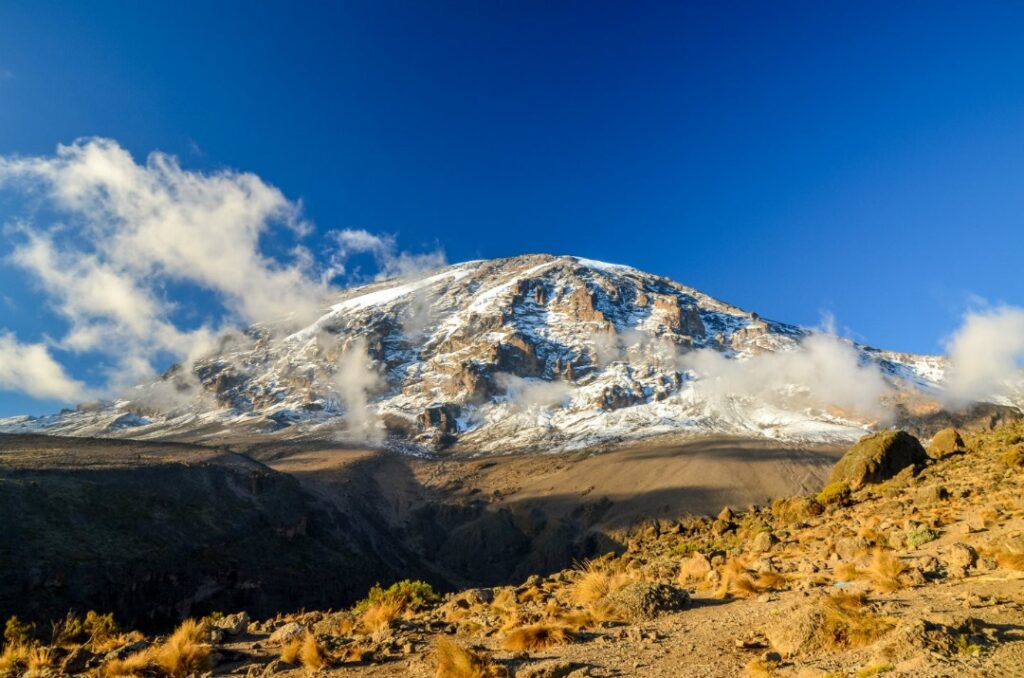 7 Days Rongai Route Kilimanjaro Climb