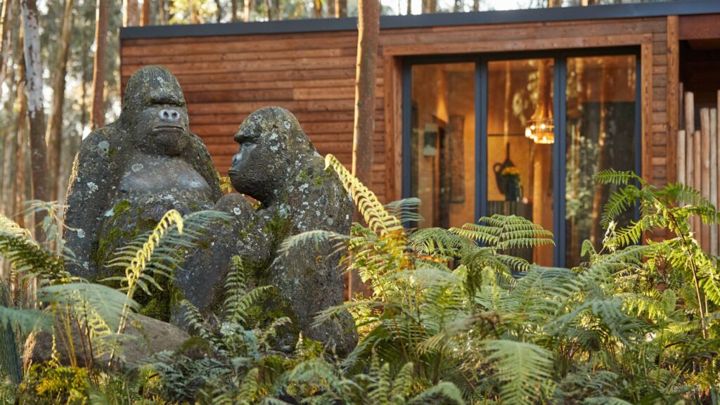 One&Only Gorilla’s Nest
